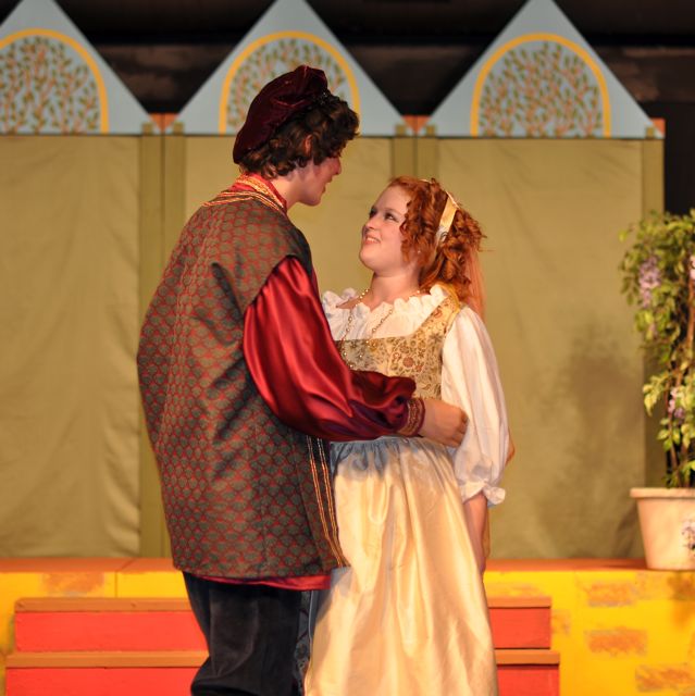 Petruchio and Kate Fall in Love